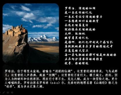 罗马2：全面战争