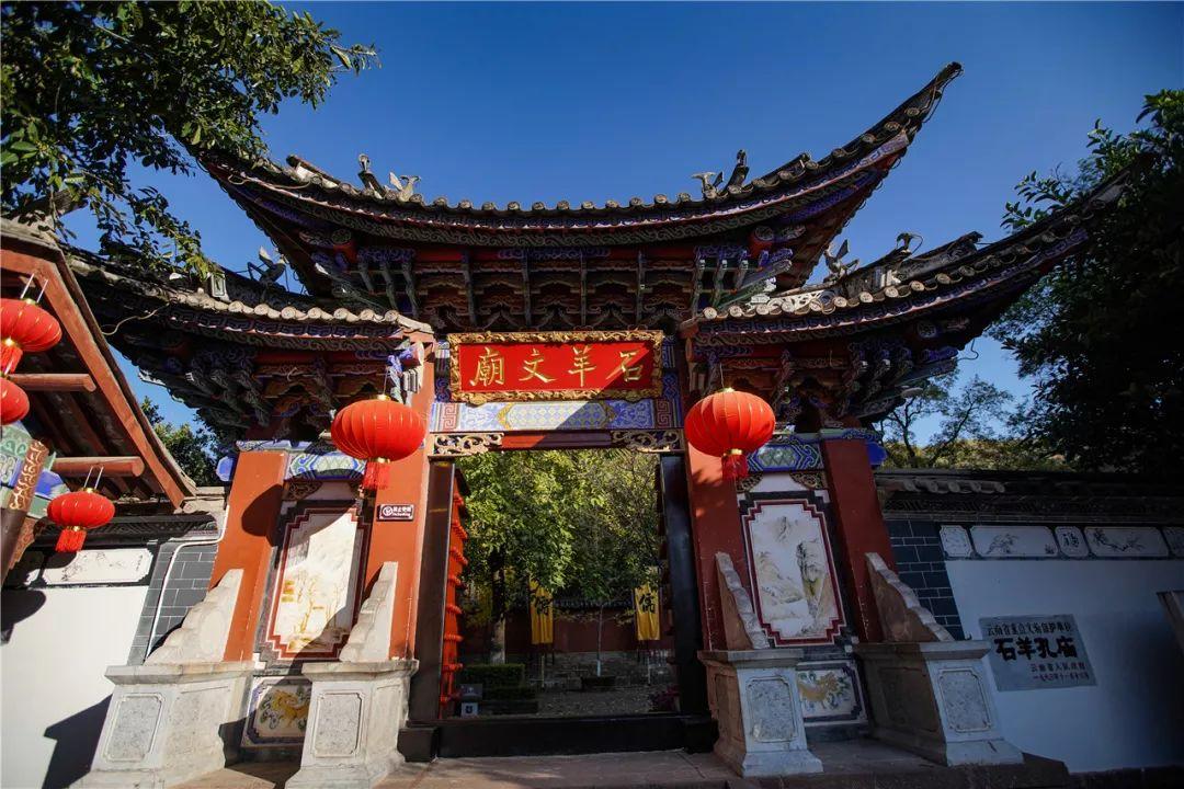 冷知识分享平台-为什么会有人那么讨厌吃香菜?,探索世间奇妙的冷知识